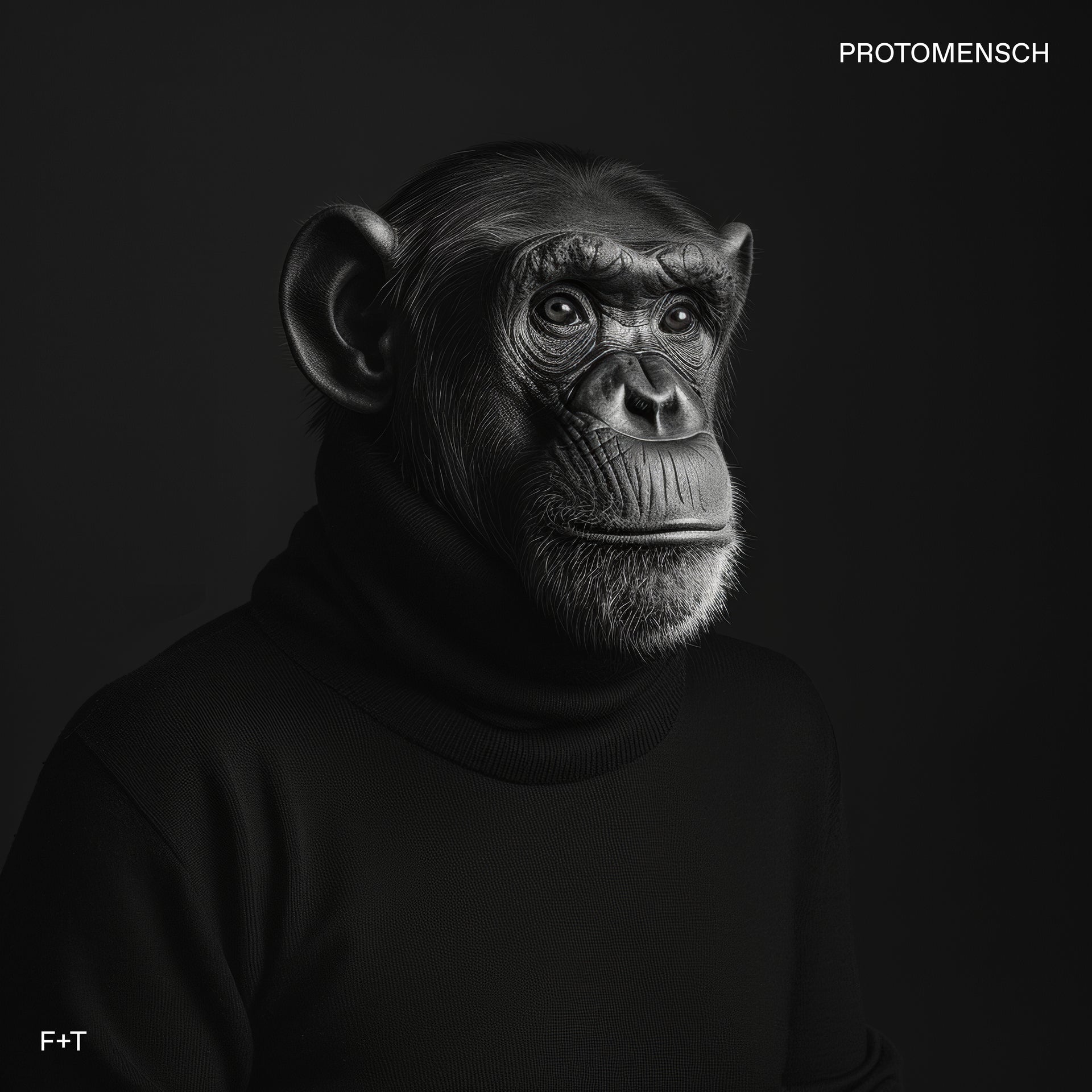 Felsmann + Tiley - Protomensch